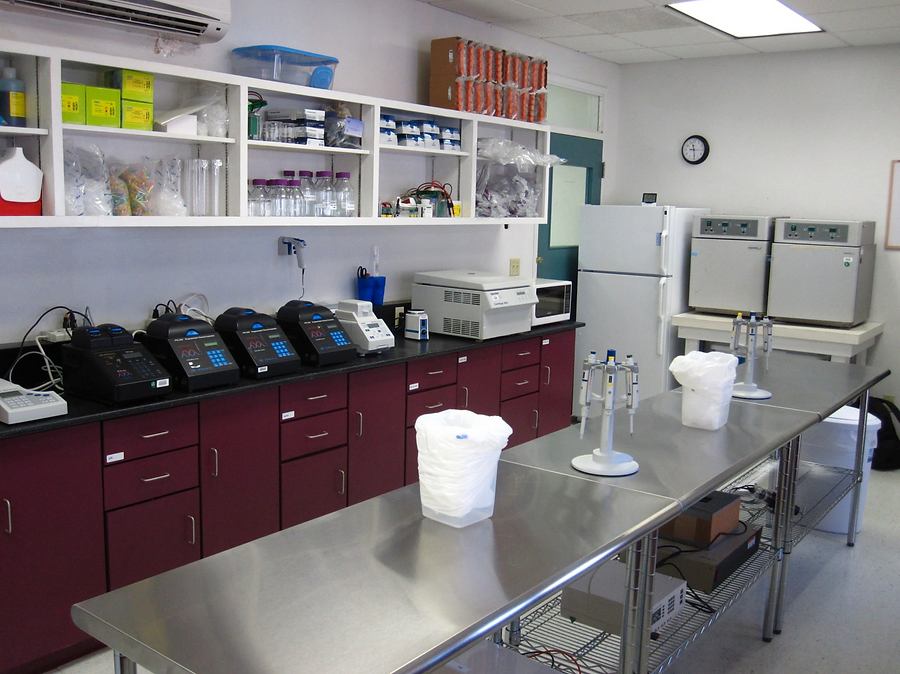 American Samoa Lab