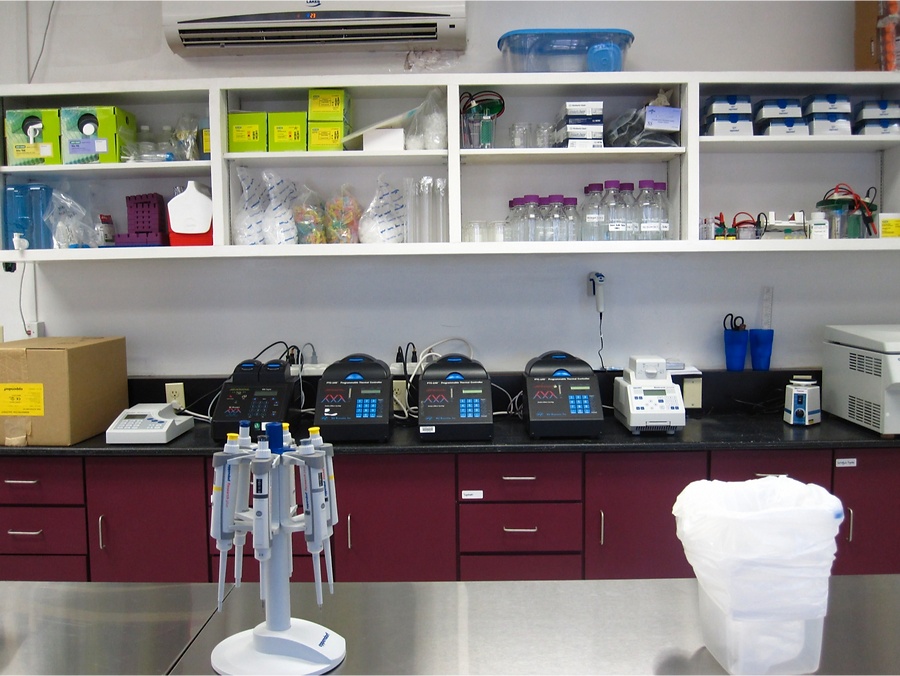 American Samoa Lab Shelf