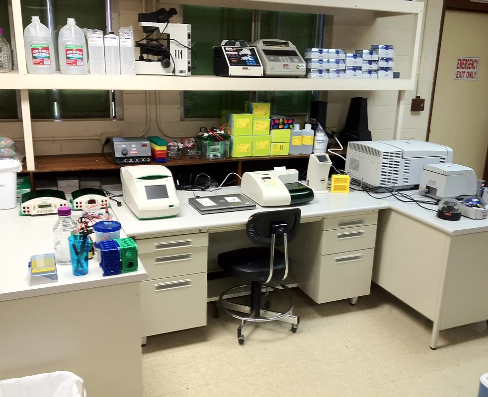 CNMI Lab Group