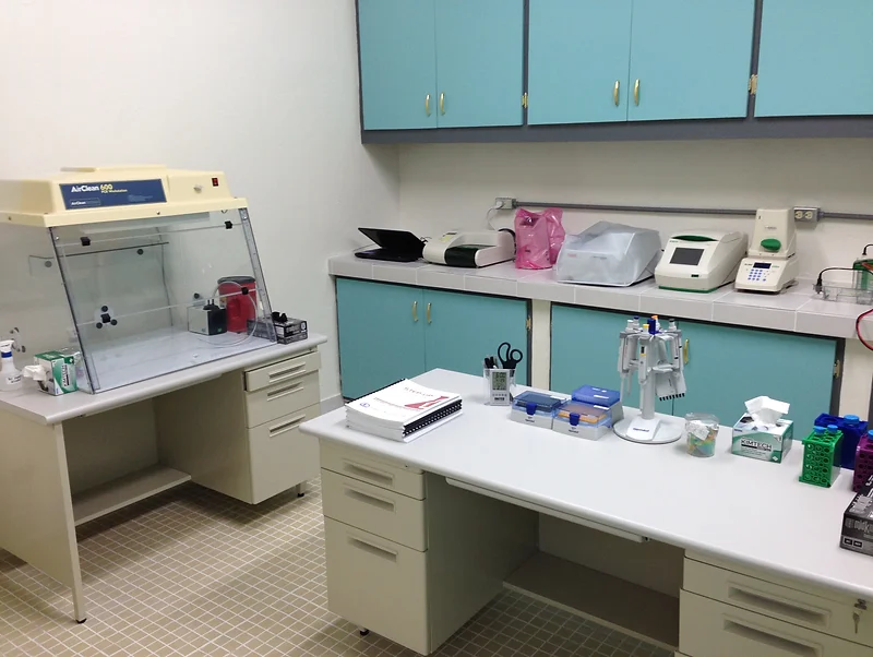 FSM Lab 1