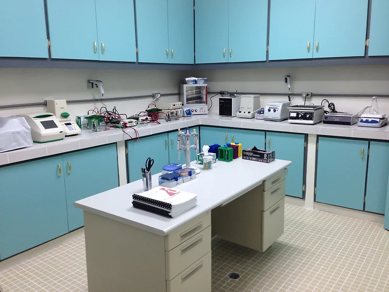 FSM Lab 2