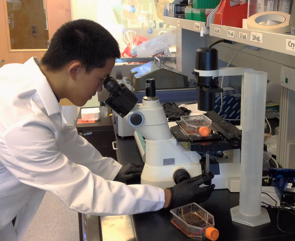 student using a microscope