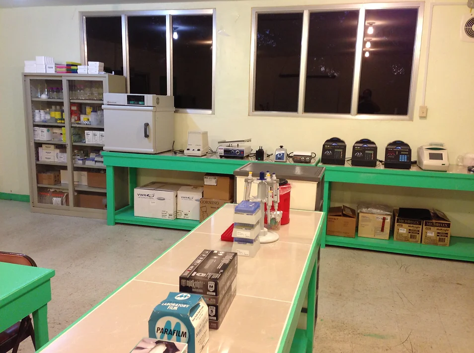 Palau Lab 1