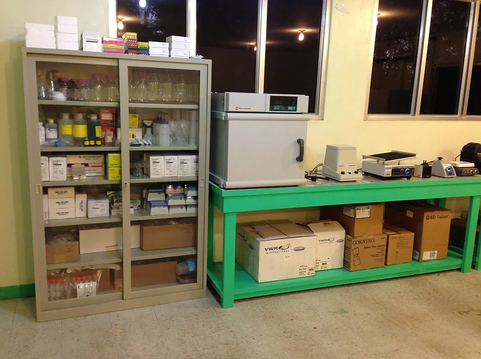 Palau Lab 3