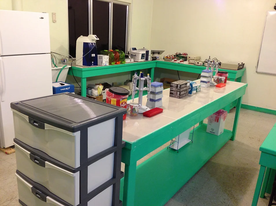 Palau Lab 4