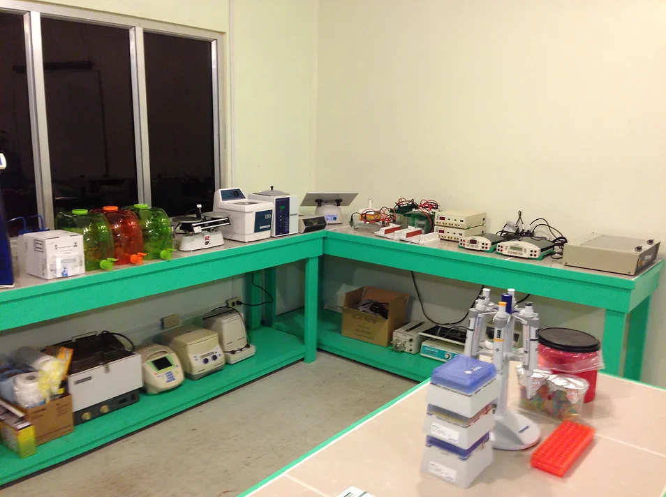 Palau Lab 5