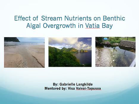 Gabrielle Langkilde presentation