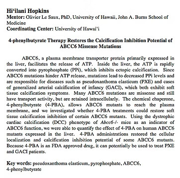 Hiʻilani Hopkins abstract