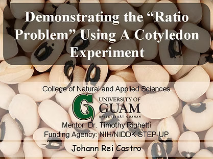 Johann Castro presentation