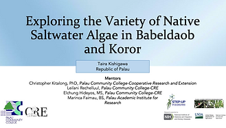Taira Kishigawa presentation