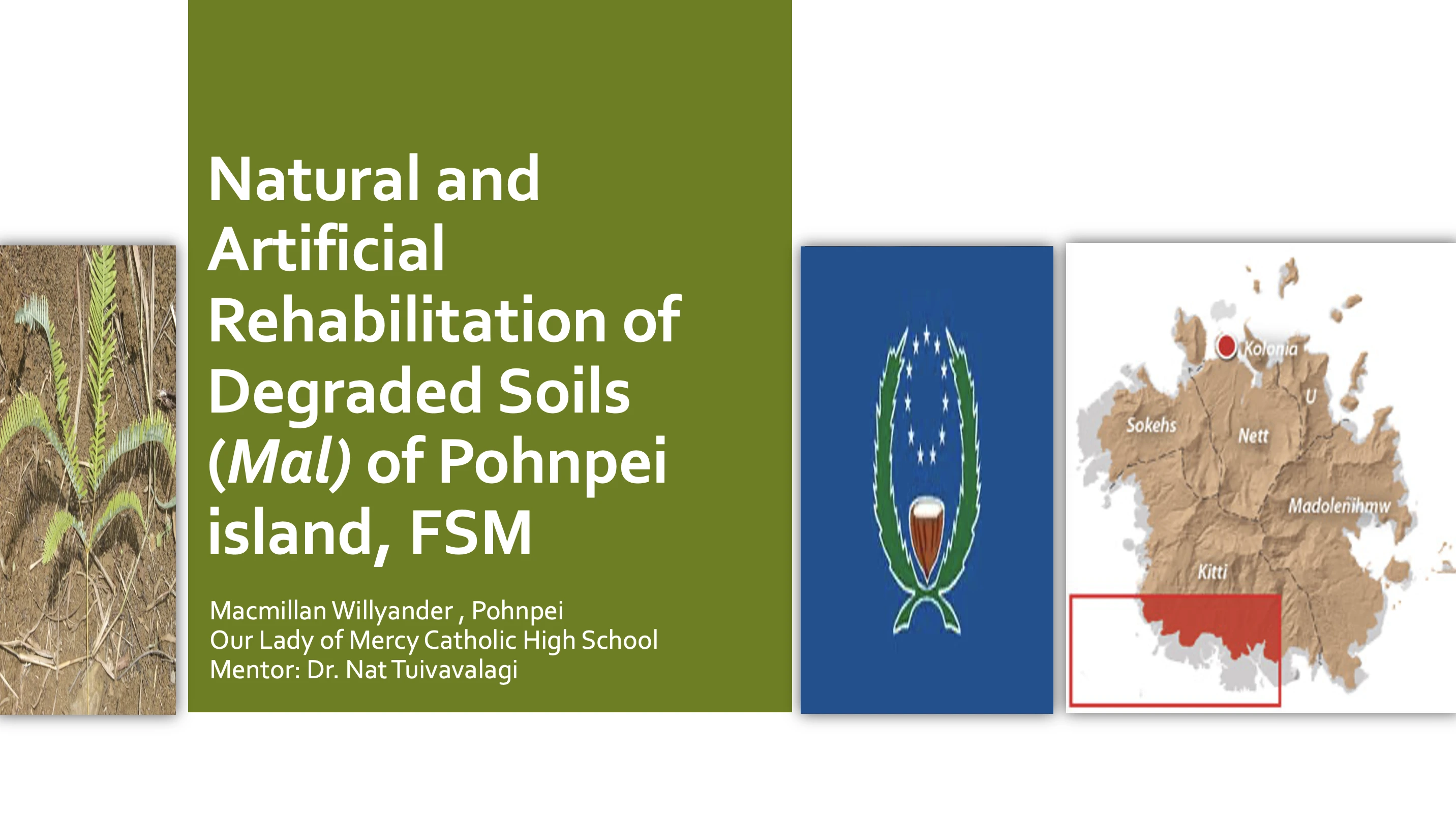 Macmillan Willyander presentation