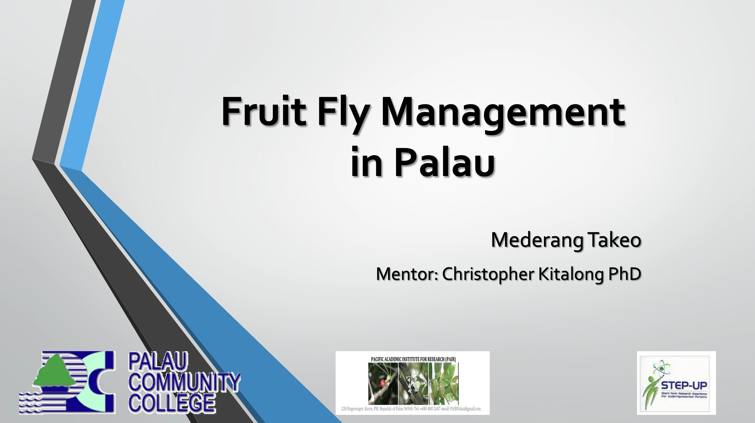 Mederang Takeo presentation