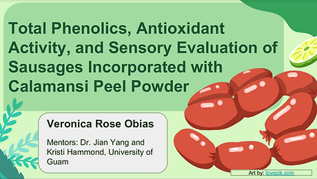 Veronica Obias presentation