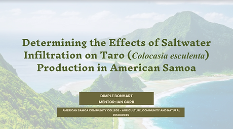 Dimple Bonhart presentation