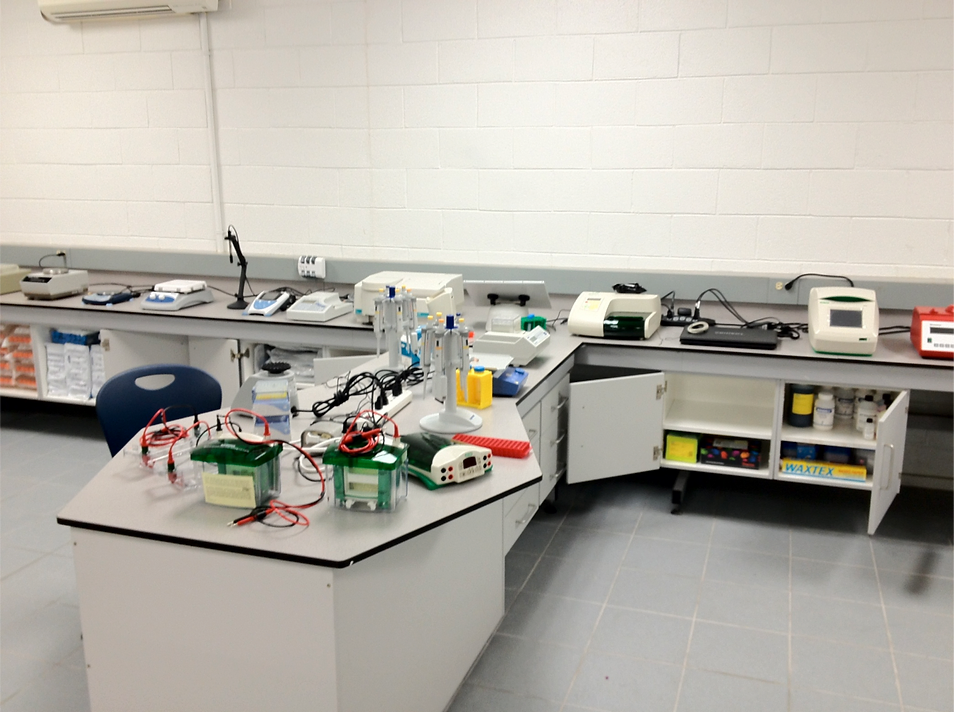 RMI Lab 1