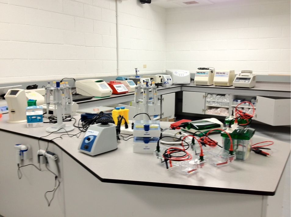 RMI Lab 2